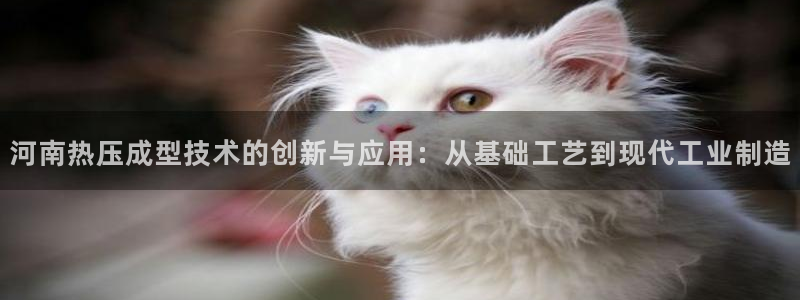 易倍思教育：河南热压成型技术的创新与应用：从基础工艺到现