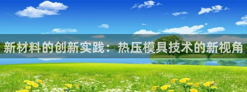 上海易倍投资有限公司：新材料的创新实践：热压模具技术的新