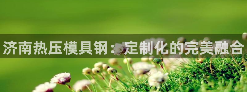emcapp下载普通下载：济南热压模具钢：定制化的完美融