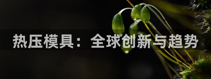 易倍单词软件：热压模具：全球创新与趋势