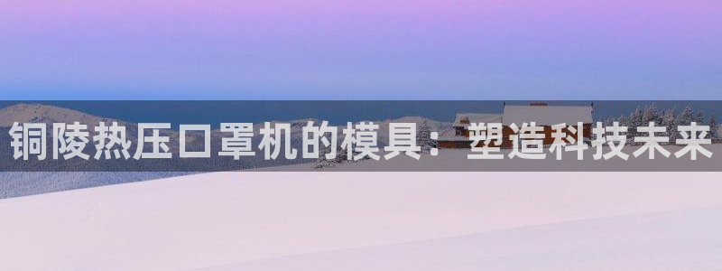emc服务器是什么：铜陵热压口罩机的模具：塑造科技未来
