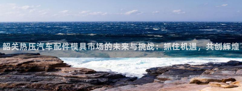 易倍纤能减肥吗：韶关热压汽车配件模具市场的未来与挑战：抓