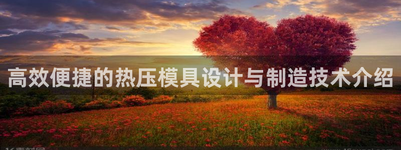 易倍纤谷物粉效果好吗：高效便捷的热压模具设计与制造技术介
