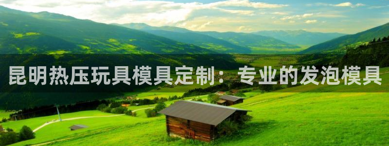 易倍申多少钱一盒：昆明热压玩具模具定制：专业的发泡模具