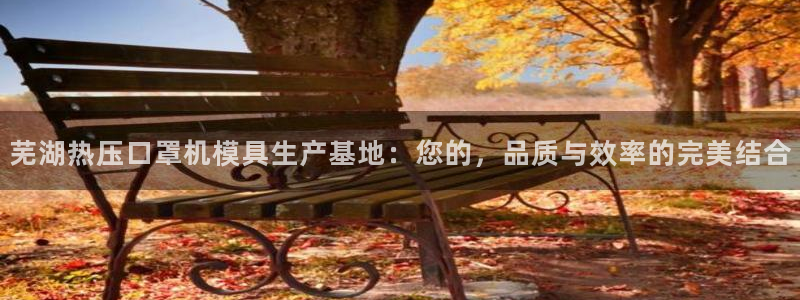 易倍思教育：芜湖热压口罩机模具生产基地：您的，品质与效率