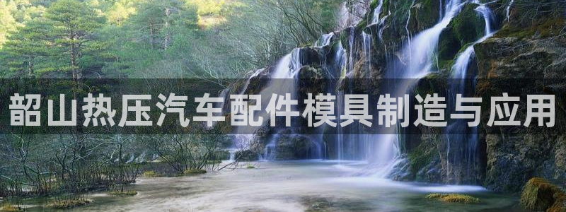 易倍申是进口药吗：韶山热压汽车配件模具制造与应用