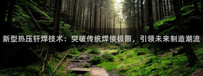 易倍emc网址网页版本登陆：新型热压钎焊技术：突破传统焊
