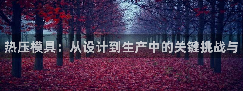 易倍科华生物科技有限公司：热压模具：从设计到生产中的关键