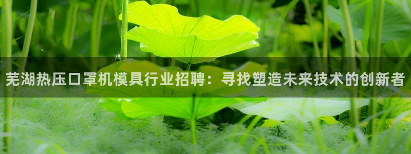 emc易倍app官网下载：芜湖热压口罩机模具行业招聘：寻