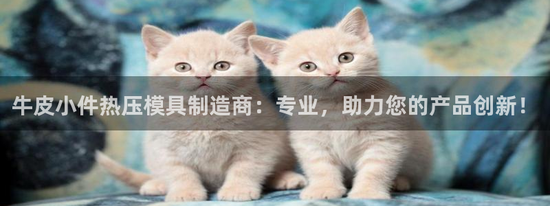 易倍网页版登录：牛皮小件热压模具制造商：专业，助力您的产