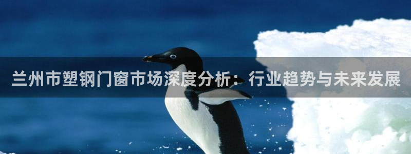 emc易贝体育怎么样：兰州市塑钢门窗市场深度分析：行业趋