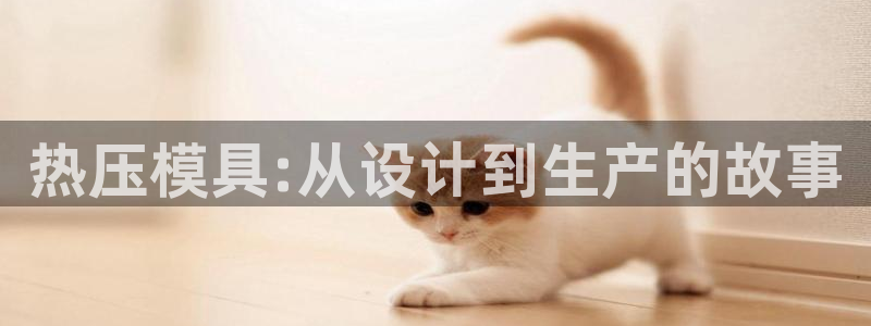 易倍单词官方网站下载安卓