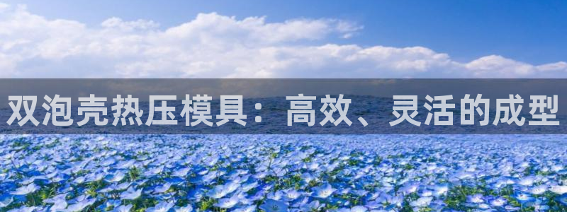emc32软件：双泡壳热压模具：高效、灵活的成型
