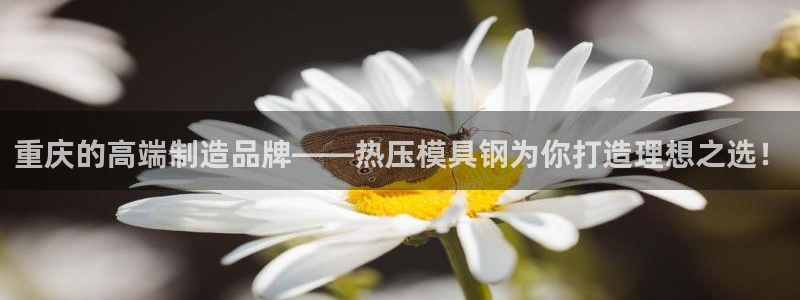 emc软件下载：重庆的高端制造品牌——热压模具钢为你打造