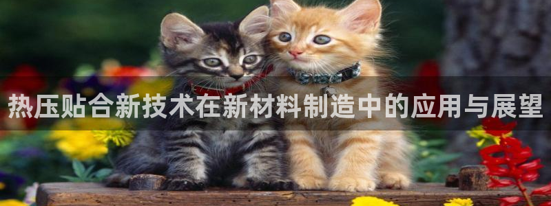 emc登录网站：热压贴合新技术在新材料制造中的应用与展望