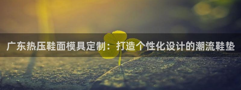 EMC易倍官方平台：广东热压鞋面模具定制：打造个性化设计