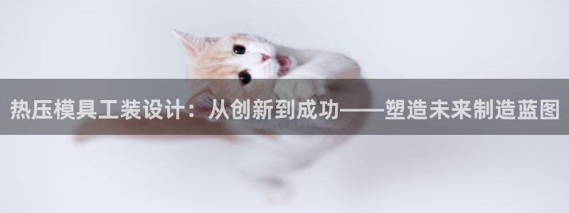 emc易倍最新链接：热压模具工装设计：从创新到成功——塑