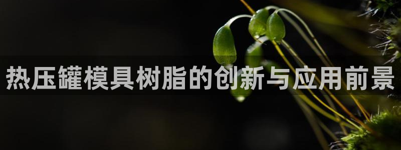 易倍纤官网：热压罐模具树脂的创新与应用前景