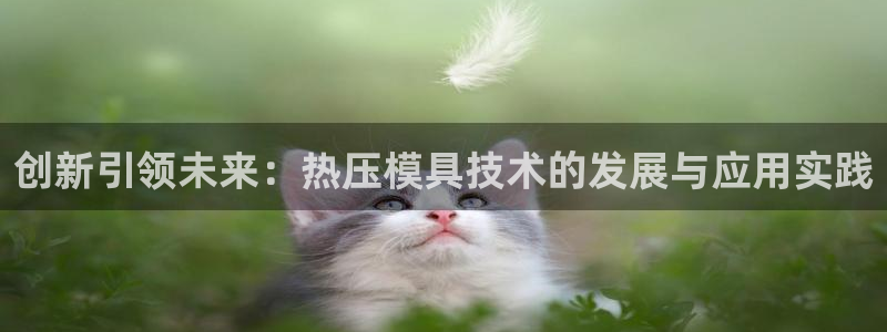 emc易倍电竞：创新引领未来：热压模具技术的发展与应用实