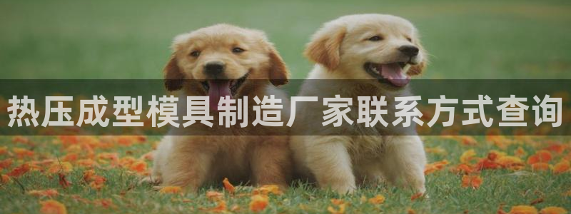 emc全站网页版：热压成型模具制造厂家联系方式查询