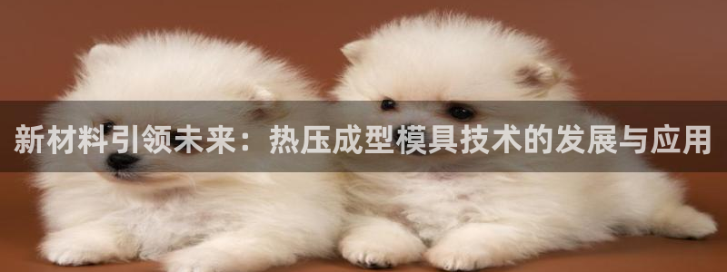 emc易倍老板