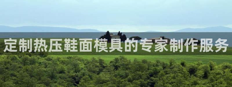 易倍emc全站：定制热压鞋面模具的专家制作服务