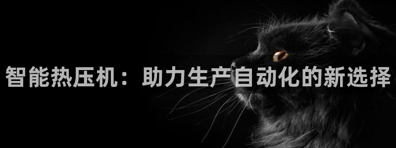 emc备份软件：智能热压机：助力生产自动化的新选择