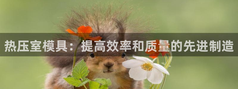 易倍单词官方网站下载安卓：热压室模具：提高效率和质量的先