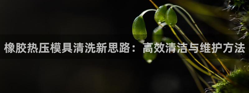 EMC易倍官网招聘：橡胶热压模具清洗新思路：高效清洁与维