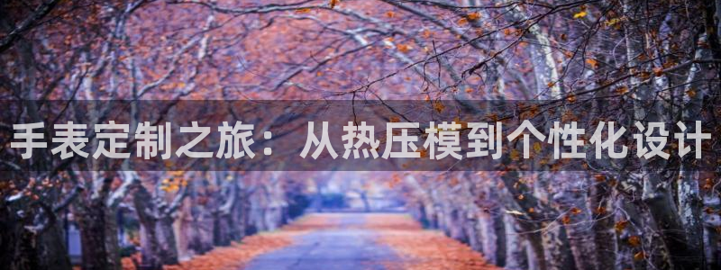 南京易倍易电子科技有限公司:手表定制之旅:从热压模到个性