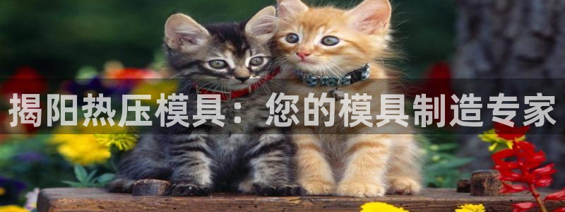 emc易倍官网app下载