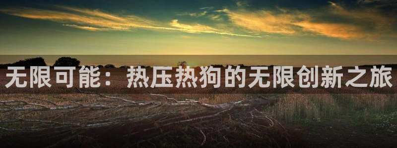 易倍申怎么样:无限可能:热压热狗的无限创新之旅