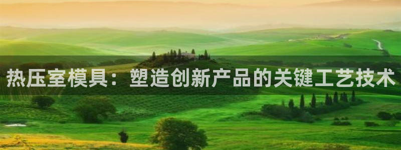 易倍纤能减肥吗：热压室模具：塑造创新产品的关键工艺技术