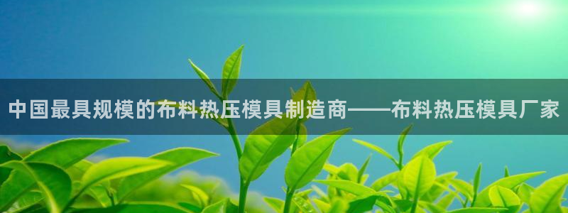 易倍网络技术有限公司怎么样：中国最具规模的布料热压模具制