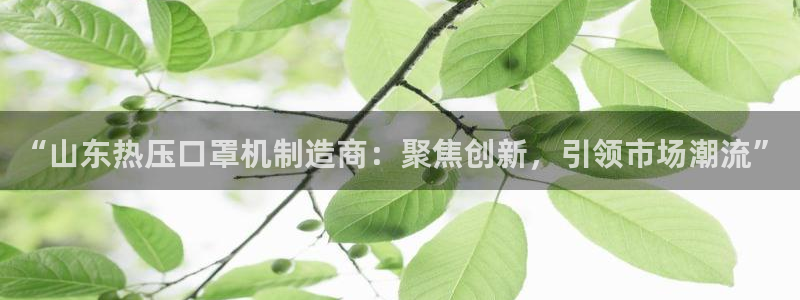 易倍申厂家:“山东热压口罩机制造商:聚焦创新,引领市场潮
