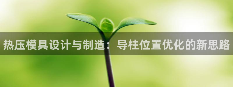 易倍申可以长期服用吗：热压模具设计与制造：导柱位置优化的