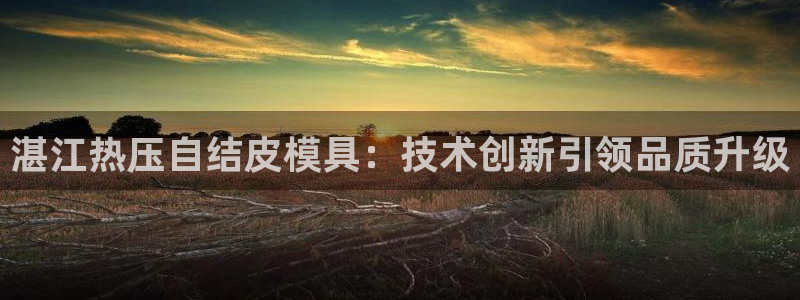 易倍纤多少钱：湛江热压自结皮模具：技术创新引领品质升级