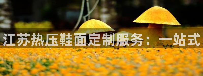 易倍单词官网下载：江苏热压鞋面定制服务：一站式