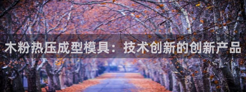 易倍电竞,有球必应：木粉热压成型模具：技术创新的创新产品