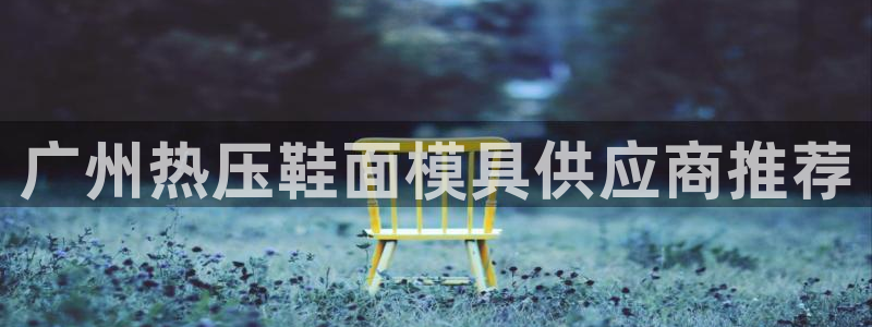 emc易倍官网首页进入：广州热压鞋面模具供应商推荐