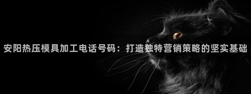 emc易倍官网app官网：安阳热压模具加工电话号码：打造