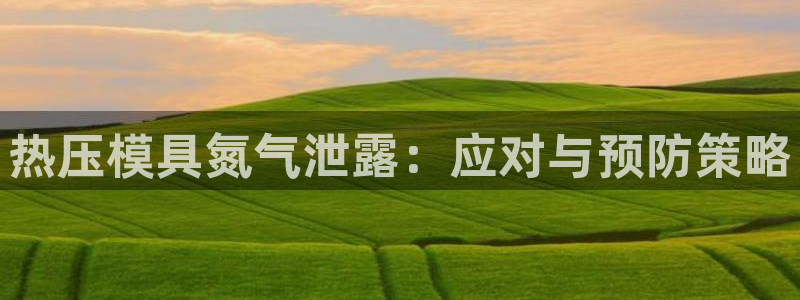 emc易倍在线登录：热压模具氮气泄露：应对与预防策略