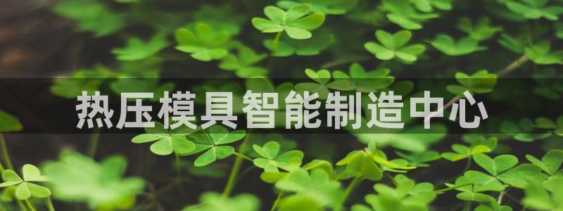 emc易倍老板：热压模具智能制造中心