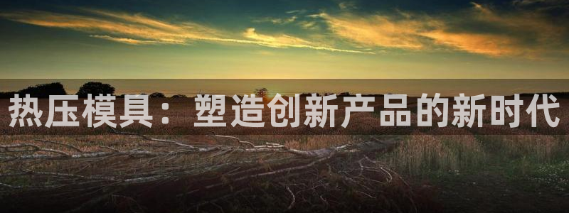 易倍纤能减肥吗：热压模具：塑造创新产品的新时代