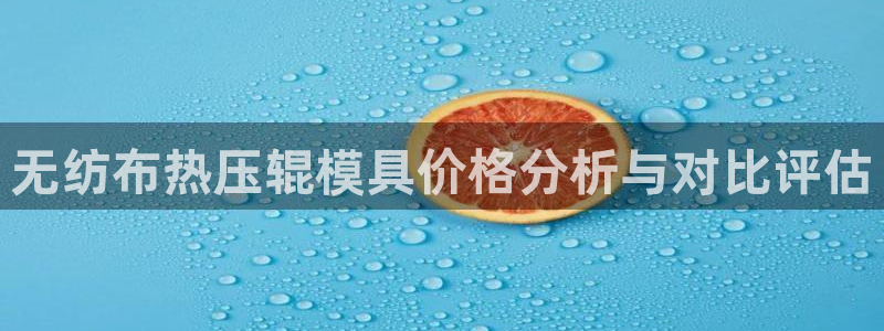 易倍下载:无纺布热压辊模具价格分析与对比评估