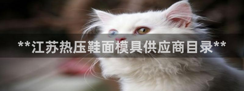 易倍申有用吗：**江苏热压鞋面模具供应商目录**