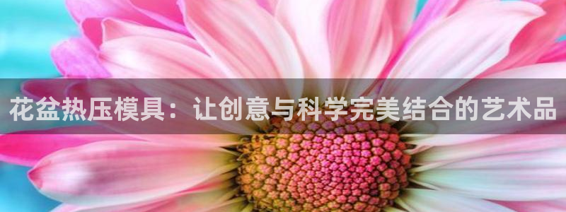 emc低频不过：花盆热压模具：让创意与科学完美结合的艺术