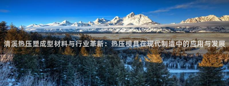 易倍申不良反应:清溪热压塑成型材料与行业革新:热压模具在